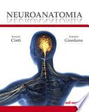 Neuroanatomia. Ediz. illustrata