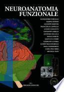 Neuroanatomia funzionale