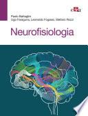 Neurofisiologia