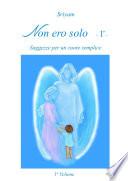 Non ero solo -1°-