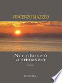 Non ritornerò a primavera. Romanzo