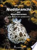 Nudibranchi del Mediterraneo