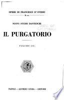 Nuovi studii danteschi: Il Purgatorio