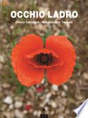 Occhio ladro