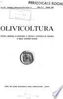 Olivicoltura