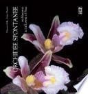 Orchidee spontanee tra Marcarolo, la Val Lemme e il Piota