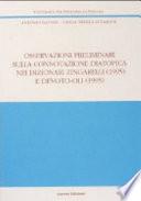 Osservazioni preliminari sulla connotazione diatopica nei dizionari Zingarelli (1995) e Devoto-Oli (1995)