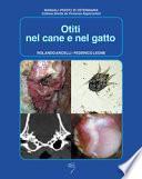 Otiti nel cane e nel gatto