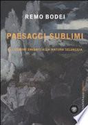 Paesaggi sublimi