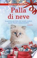 Palla di neve
