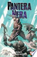 Pantera Nera (2018) 2