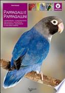 Pappagalli e pappagallini