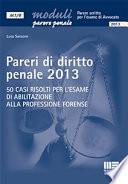 Pareri di diritto penale 2013