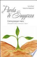 Parola di saggezza. Come presi per mano. Commento ai Vangeli domenicali. Anno A