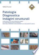 Patologia, diagnostica, indagini strutturali - Guida pratica alla valutazione del danno e al monitoraggio statico e dinamico anche negli interventi di miglioramento e/o adeguamento sismico