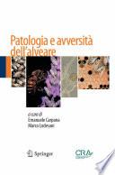 Patologia e avversità dell’alveare