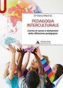 Pedagogia interculturale. Cornici di senso e dimensioni della riflessione pedagogica