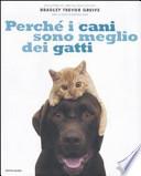 Perché i cani sono meglio dei gatti