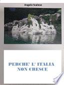 Perché l'Italia non cresce