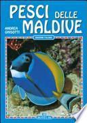 Pesci delle Maldive