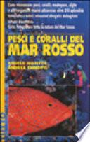 Pesci e coralli del Mar Rosso