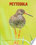 Pettegola