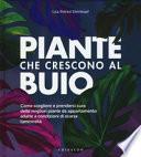 Piante che crescono al buio. Come scegliere e prendersi cura delle migliori piante d'appartamento adatte a condizioni di scarsa luminosità