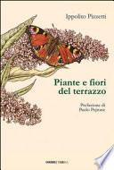 Piante e fiori del terrazzo