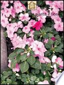 Piante e fiori - Fai da te