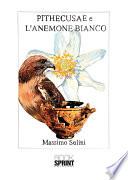 Pithecusae e l'anemone bianco