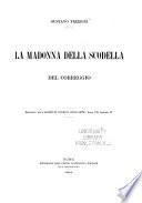 Pittura miscellanea