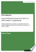 Poesie di Theodor Storm tra il 1845 e il 1865. Analisi e comparazione