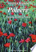 Polvere