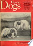 Popular Dogs