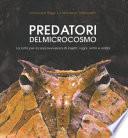 Predatori del microcosmo. La lotta per la sopravvivenza di insetti, ragni, rettili e anfibi. Ediz. illustrata