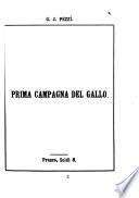 Prima campagna del Gallo