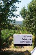 Primavera in Borgogna