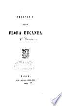 Prospetto della flora euganea