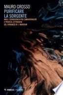 Purificare la sorgente