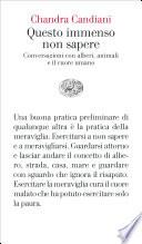 Questo immenso non sapere