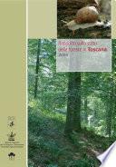 RAFT - Rapporto sullo Stato delle Foreste in Toscana 2006
