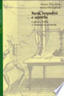 Rane, torpedini e scintille