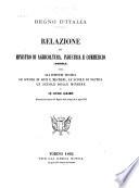 Relazione ... sopra gli istituti tecnici