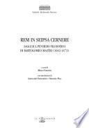 Rem in seipsa cernere