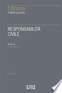 Responsabilità civile II edizione