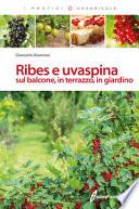 Ribes e uvaspina sul balcone, in terrazzo, in giardino
