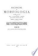 Ricerche di morfologia