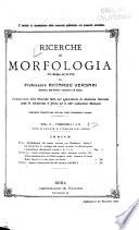 Ricerche di morfologia