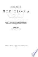 Ricerche di morfologia