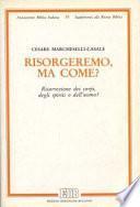 Risorgeremo, ma come? : risurrezione dei corpi, degli spiriti o dell'uomo? : per un contributo allo studio della speculazione apocalittica in epoca greco-romana : II sec. a.C.-II sec. d.C.